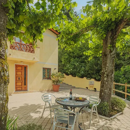 Alba By Interhome Ferienhaus Camaiore