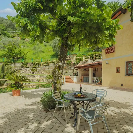 Ferienhaus Alba By Interhome Camaiore
